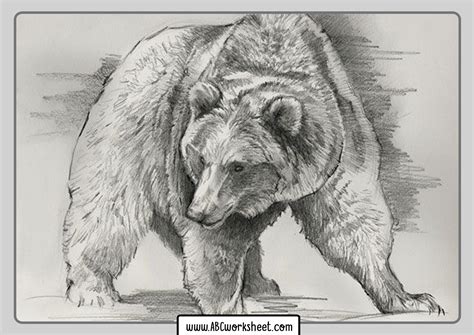 grizzly coloring page grizzly bear coloring pages mejikuhibiniu