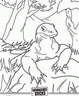 Komodo Dragon Coloring Pages Color Popular Getdrawings Getcolorings Coloringhome sketch template