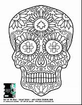Pages Coloring Skull Sugar Owl Getdrawings sketch template