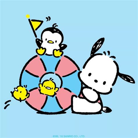 images  character pochacco  pinterest sanrio sanrio