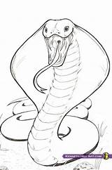 Coloring Cobra King Drawing Pages Snake Sketch Clipart Colouring Kids Clip Library Popular sketch template