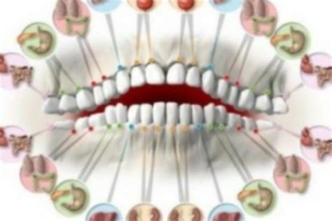 ispravka tvrdnje  vezi izmedu zuba  organa nisu utemeljene  nauci