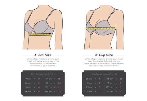 how to measure your bra size bra fitting guide ezibuy