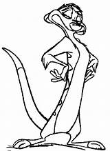 Lion King Timon Coloring Pages Disney sketch template