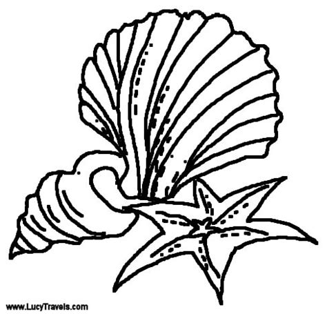 sea shells beach coloring pages coloring pages printable crafts