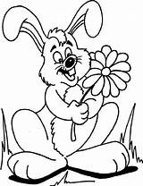 Rabbit Coloring Cartoon Printable Template Templates Pages Shape Easter sketch template