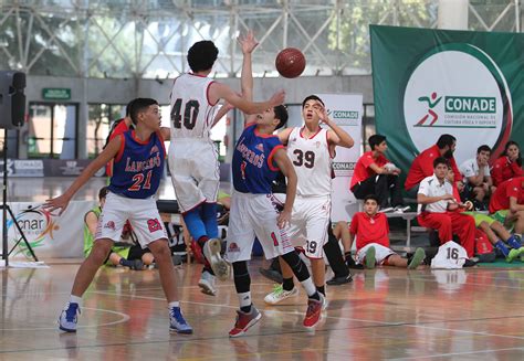 academia de basquetbol conade destaca en i torneo de navidad comisión nacional de cultura