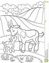 Goat Coloring Pages Mountain Baby Getcolorings Getdrawings sketch template
