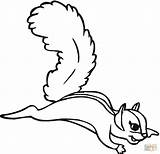 Squirrel Coloring Flying Pages Kids Color Print Animals sketch template