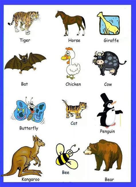 animal names english  kids pinterest names  animals