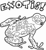 Coloring Exotic Pages Animals Frog Animal Kids Card Printable sketch template