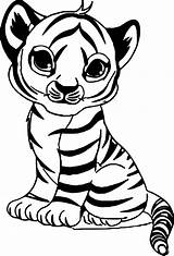 Tiger Coloring Pages Kids Cute Baby Getdrawings sketch template