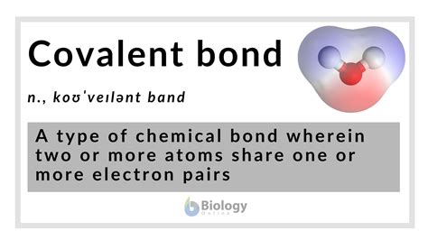 covalent bond definition  examples biology  dictionary