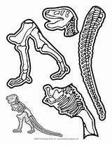 Dinosaur Bones Dinosaurs Bone Preschool Skeleton Printable Kids Worksheets Activities Crafts Lesson Plans Fossil Fossils Craft Mailbox Worksheet Activity Dig sketch template