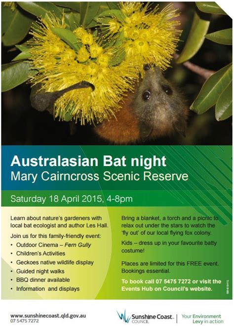 event learn  bat ecology ecology bat learning