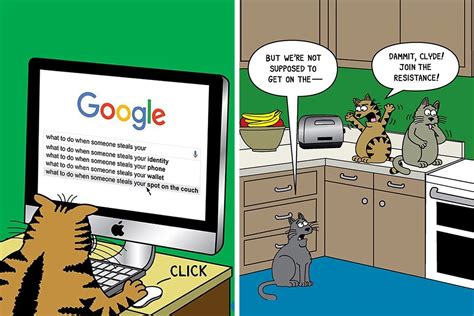funny cat comics  scott metzger     cat owner cry  laughter  pics