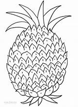 Pineapple Coloring Pages Kids Drawing Print Printable Cool2bkids Getdrawings sketch template