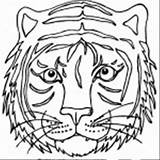 Coloring Tiger Face Mask Pages Printable Template Drawing Color Head Animal Print Er Siberian Tigers Realistic Animals Getdrawings Getcolorings Sketch sketch template