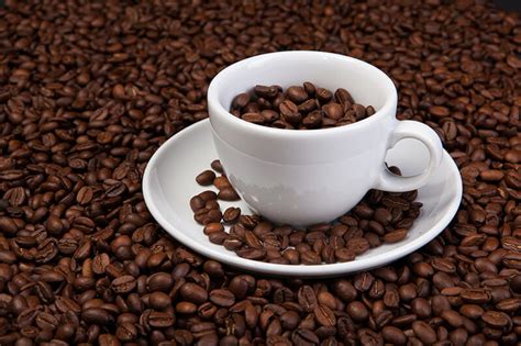 7 curiosidades sobre o café café fazenda pessegueiro