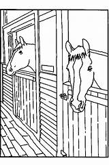 Paarden Stal Paard Kleurplaten sketch template