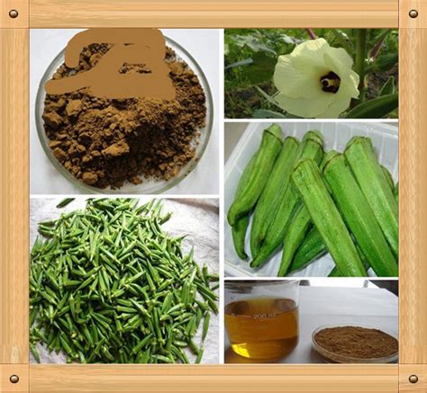 Natural And Pure Okra Extract Sex Enhancement Okra Extract And Cure