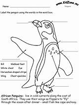 Penguin Penguins Popper Kidzone sketch template