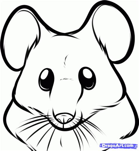 draw  mouse face step  step forest animals animals
