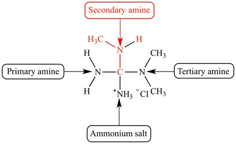 illustrated glossary  organic chemistry secondary amine