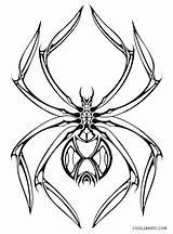 Coloring Pages Spider Halloween Getcolorings Spiders sketch template