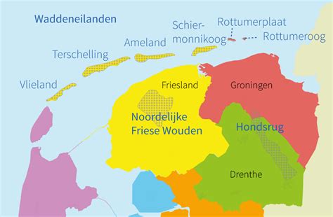 topografie groep  nederland gebieden oefen de gebieden en regios  noord nederland
