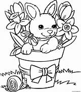 Coloring Flowers Bunny Easter Pages Printable Color Print Info Prints sketch template