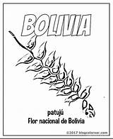 Bolivia Patuju Bandera Kantuta Escudo Tricolor Nacionales sketch template