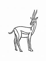 Antelope sketch template