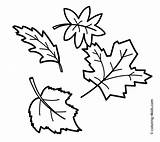 Fall Coloring Pages Kindergarten Leaves Getcolorings Season sketch template
