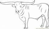 Bull Coloring Pages Color Coloringpages101 sketch template