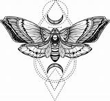 Moth Death Vector Clip Illustrations Graphics Similar sketch template