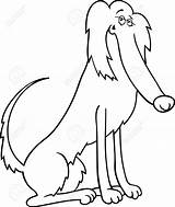 Setter Coloring Irish Cartoon Dog Alamy Stock 1095 41kb 1300px Purebred Illustration Funny sketch template