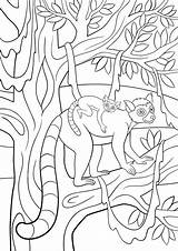 Coloring Aye Lemur Getcolorings sketch template