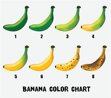 color chart  banana  young green  yellow  ripe