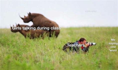 Does Anybody Have A Template Of The Rhinos Having Sex Or Any Other