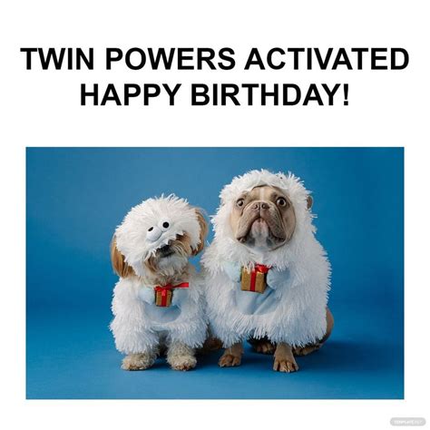 funny happy birthday  twins