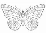 Butterfly Coloring Pages Lady Painted Printable Outline Supercoloring Intricate Super Colouring Color Drawing Print Egg Puzzle Nature sketch template