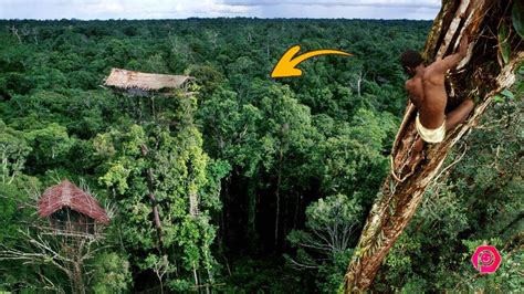 suku korowai pemilik rumah pohon tertinggi papua indonesia youtube
