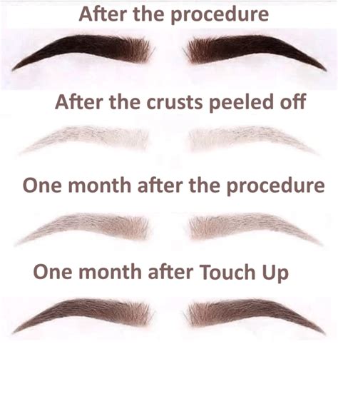 Eyebrow Tattoo Aftercare And Eyebrow Tattoo Healing Stages Elite Look