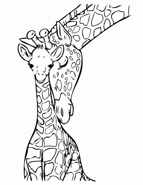 giraffes standing      black  white coloring pages