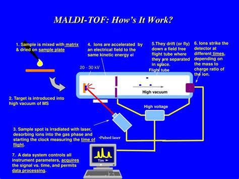 maldi tof ms  analisis de proteinas powerpoint    id