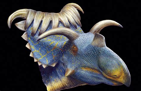 horniest dinosaur ever discovered kosmoceratops found