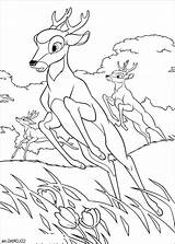 Bambi Chevreuil Coloriage 2703 Animaux Malowanka Wydruku Kolorowanka Enjoyable Leisure Kolorowanki Coloriages sketch template