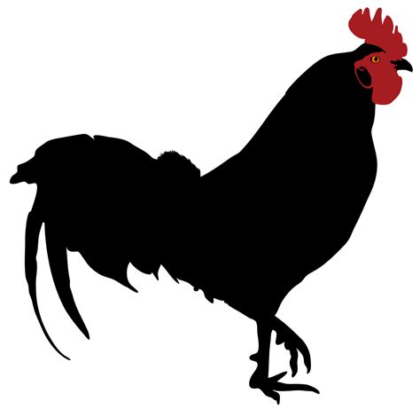 black  red rooster silhouette   white background