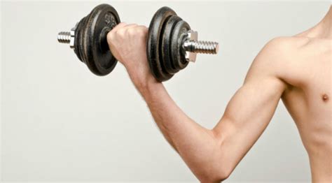 biceps building tips  reasons  guns arent growing muscle fitness